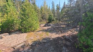 Campsite 329
