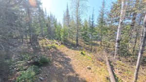 Campsite 329