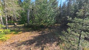 Campsite 329