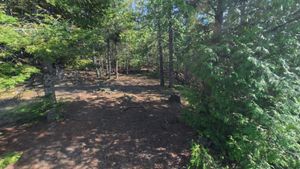 Campsite 2009