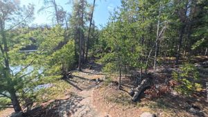 Campsite 331