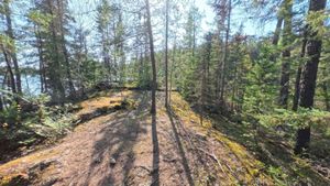 Campsite 331