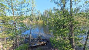 Campsite 332