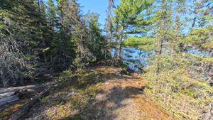 Campsite 332