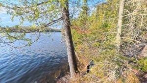 Portage 36