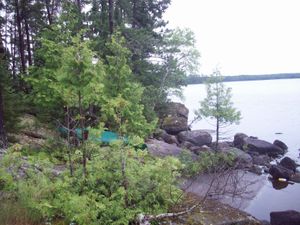 Stuart Lake Camp