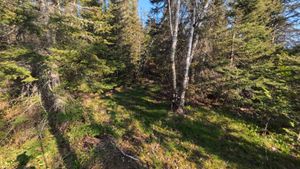 Campsite 325