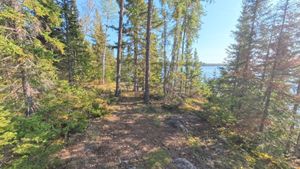 Campsite 325