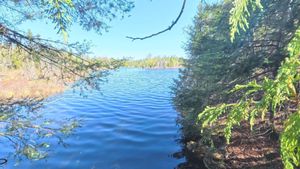 Portage 51
