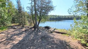 Campsite 2042