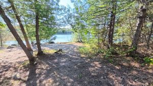 Campsite 2042