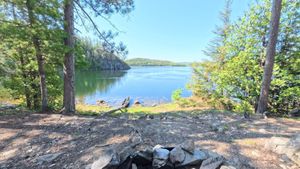 Campsite 2040