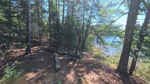 Campsite 2039