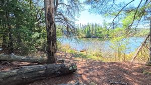 Campsite 2039