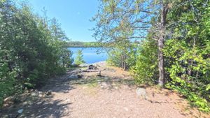 Campsite 2038
