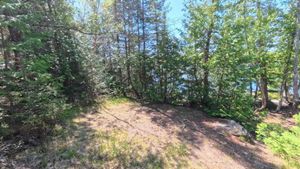 Campsite 2038