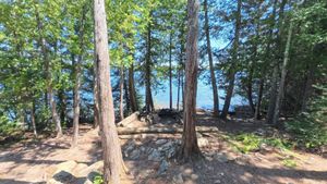 Campsite 1429