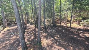 Campsite 1429