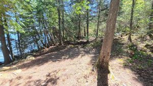 Campsite 1429