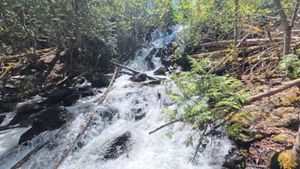 Eddy Falls
