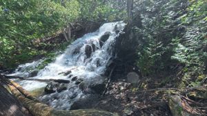Eddy Falls