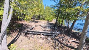 Campsite 1428