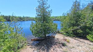 Campsite 2032
