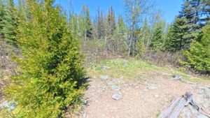 Campsite 2032