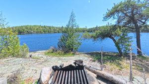 Campsite 2034
