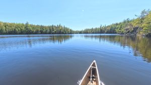 Portage 65