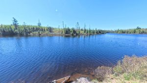 Campsite 1468