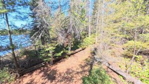 Campsite 1468