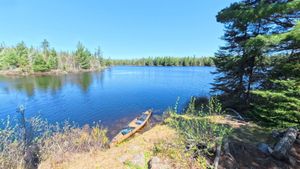Campsite 1469