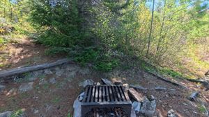 Campsite 1469