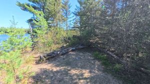 Campsite 1469
