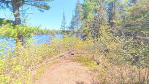 Campsite 1469