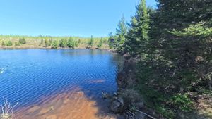Portage 424
