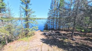 Campsite 1471