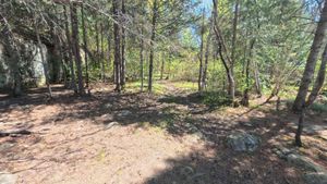 Campsite 1909