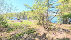 Campsite 1909