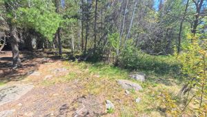 Campsite 1909