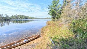 Portage 545