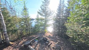 Campsite 1187
