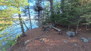 Campsite 1186