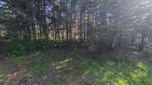 Campsite 1185