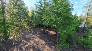 Campsite 1179