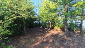 Campsite 1179