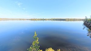 Campsite 1179
