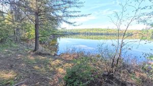 Campsite 1179