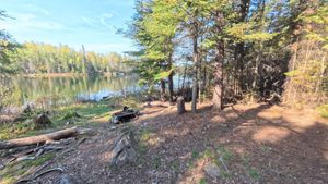 Campsite 1180